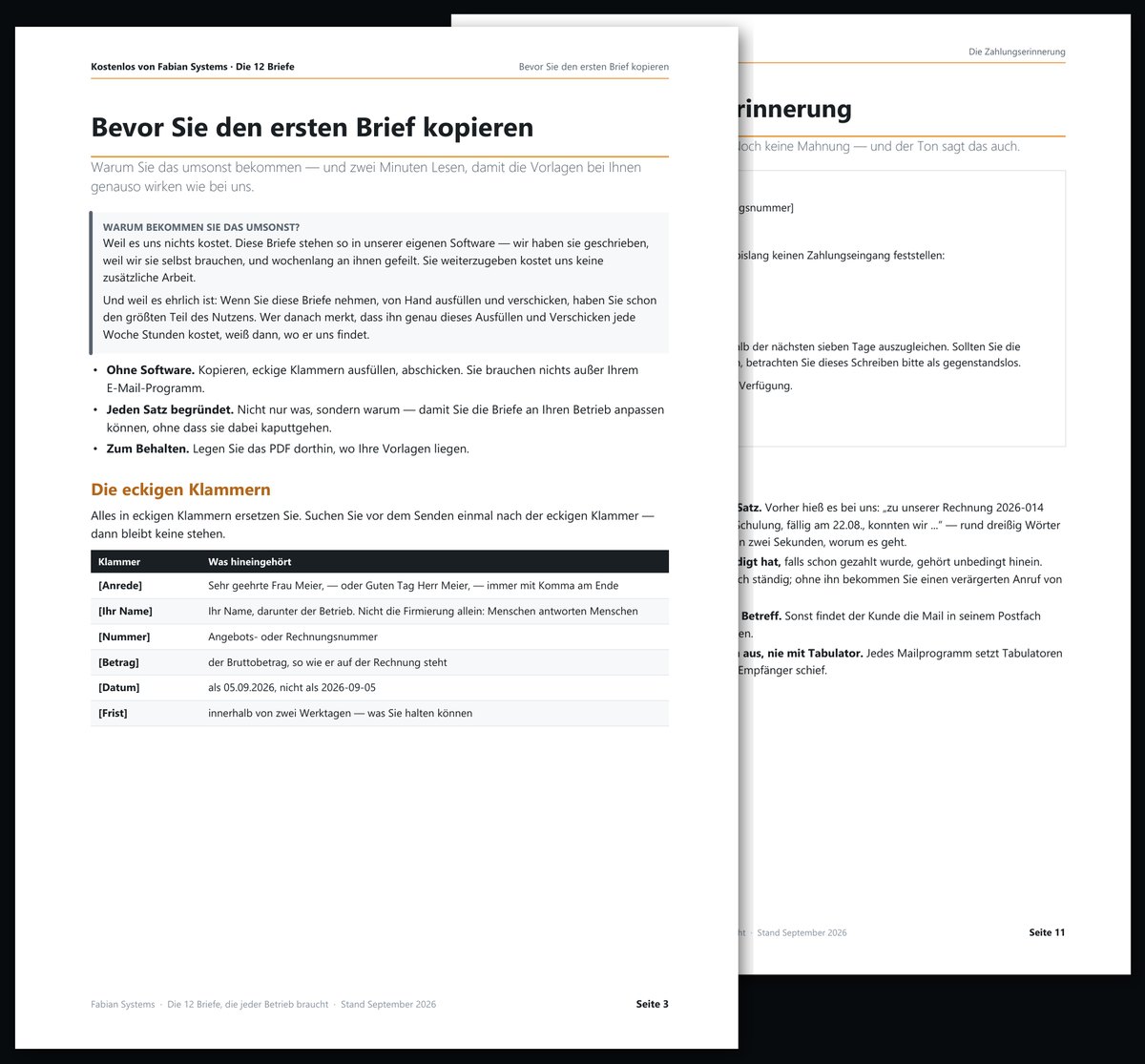 Zwei Seiten aus dem PDF: die Übersicht und die Zahlungserinnerung mit Begründung